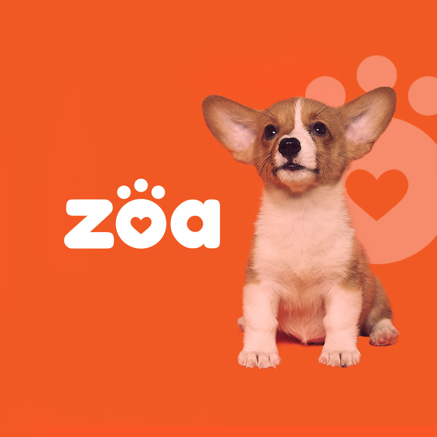 zoa-studio-polette-graphiste-webdesigner-freelance-strasbourg-01